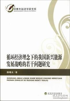 中青年经济学家文库：循环经济理念下的我国新兴能源发展战略的若干问题研究