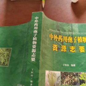 中外药用孢子植物资源志要