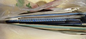 连柏生（1908～1992）珍贵红色史料，南汇县祝桥镇凉亭乡人，[1]浦东抗日战争时期淞沪游击第五支队的主要创始人之一，第三战区三北游击司令部副司令等。亚民治印1方。扇子1把品弱。连柏生资料手稿若干，老照片2册，证书4本，书法作品2件，以连柏生为原型创作戏曲生死同心1本。谭启龙信札1件，乔谷凡信札1件关于连柏生回忆录，顾德欢1件。其不认识的信札较多件。资料若干。