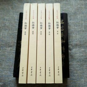 中华大字经典：红楼梦（套装 全5册）