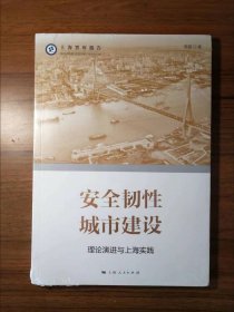 安全韧性城市建设