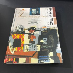 毕加索图传