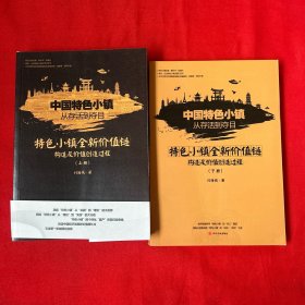 中国特色小镇从存活到夺目——特色小镇全新价值链构造及价值创造过程（套装共2册）