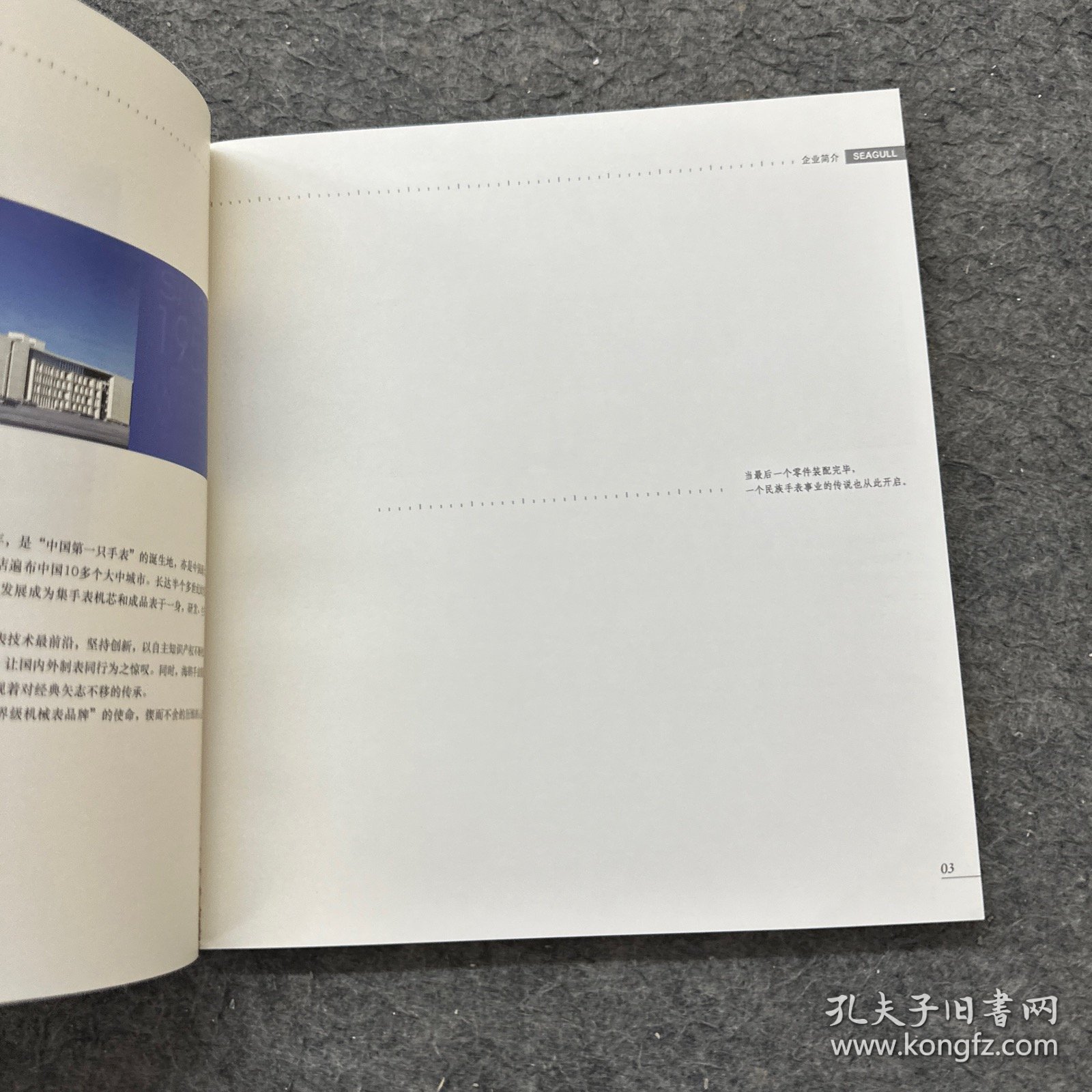 海鸥表 1955-2015海鸥表60周年纪念画册