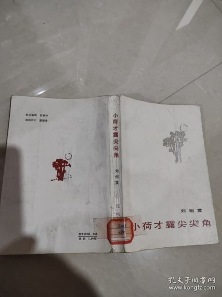 小荷才露尖尖角