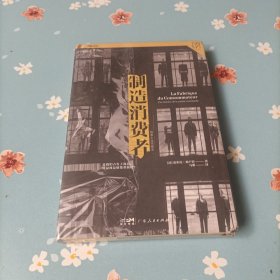 制造消费者：消费主义全球史