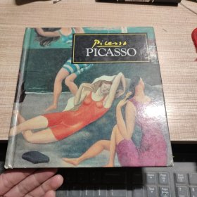 PICASSO 外文原版