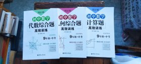 周计划 初中数学 9年级+中考——代数综合题高效训练、计算题高效训练、几何综合题高效训练 三册合售（平装16开 各册均为1版印次各不相同 有描述有清晰书影供参考）