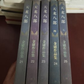 天龙八部（1-5）见实图