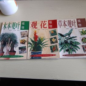 室內(nèi)名貴花卉叢書--草本觀葉植物 木本觀葉植物 觀花植物3本合售