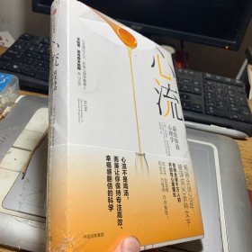 心流：最优体验心理学