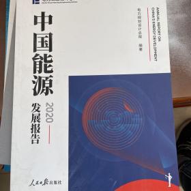 中国能源发展报告:2020