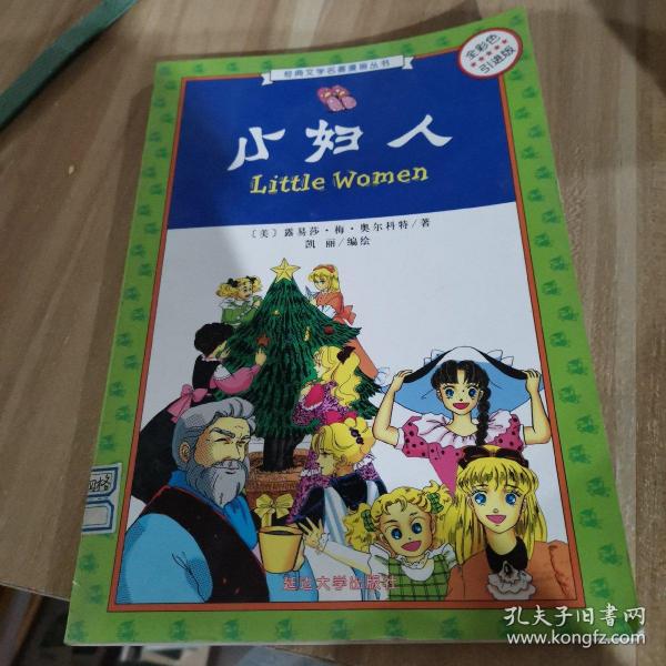 小妇人(全彩色引进版)/经典文学名著漫画丛书