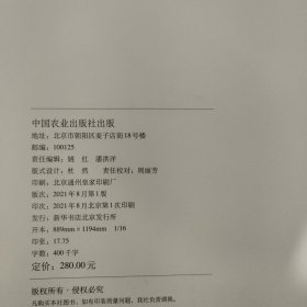 中国乡村振兴发展报告(2020) 品相见图