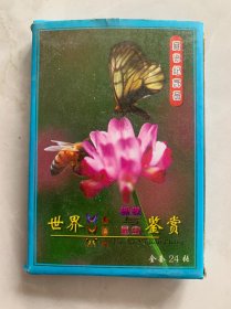 世界蝴蝶与昆虫鉴赏 卡片非图书