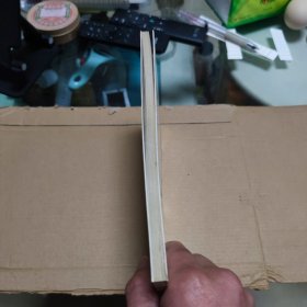 《内江作家丛书》