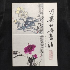 芍药牡丹画法