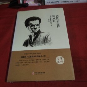 钢铁是怎样炼成的《小32开平装》