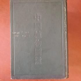 《中国植物图鉴》贾祖璋 贾祖珊 主编 全图 中华书局出版 1955年上海2印 巨厚 私藏 品如图..