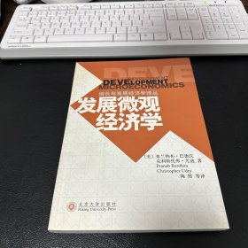 发展微观经济学