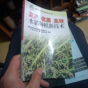 高产优质高效水稻种植新技术