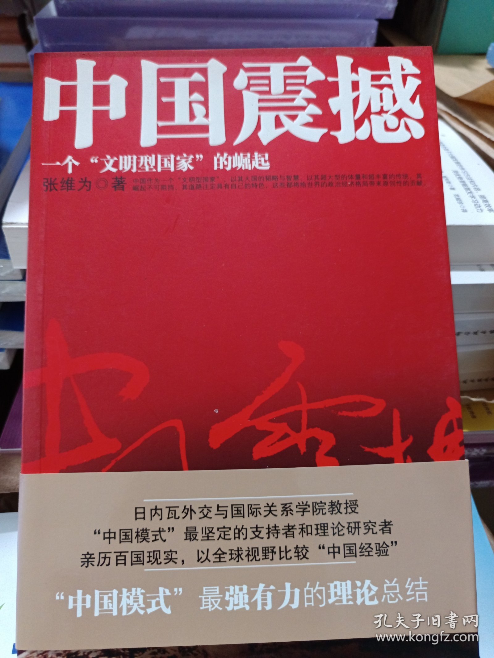 中国震撼：一个“文明型国家”的崛起