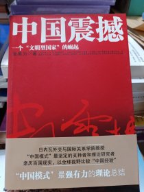 中国震撼：一个“文明型国家”的崛起