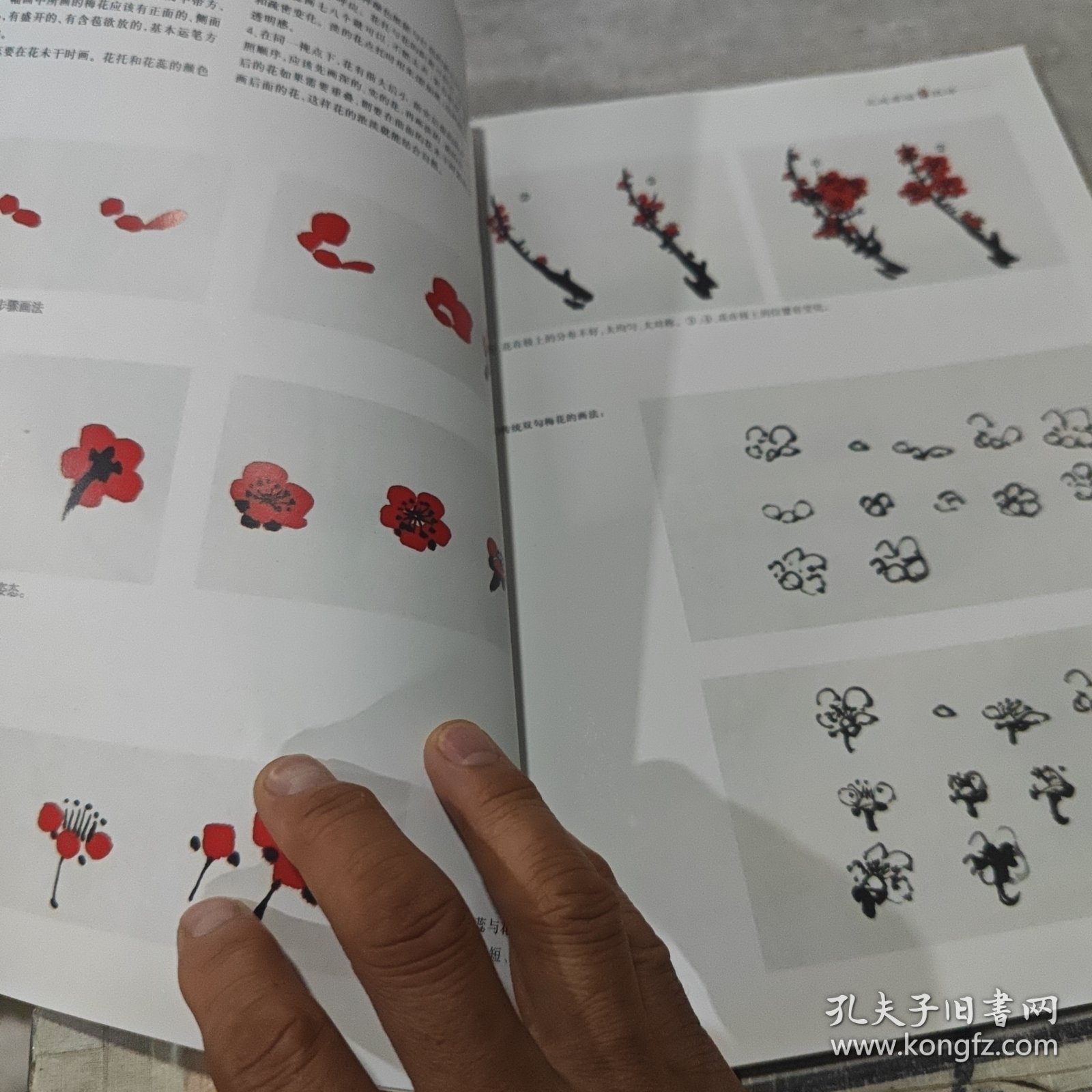 王成喜画梅技法