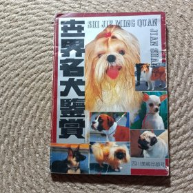 世界名犬鉴赏