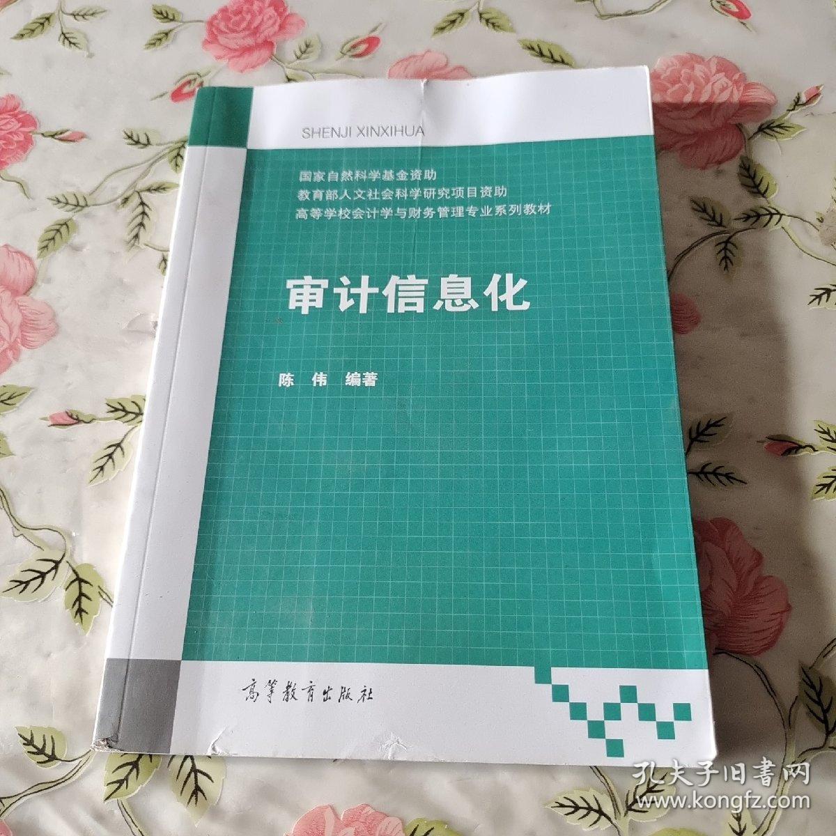 审计信息化/高等学校会计学与财务管理专业系列教材