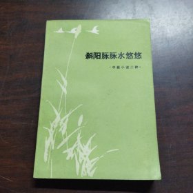 斜阳脉脉水悠悠