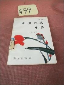 获奖作文精品：中学·叙事