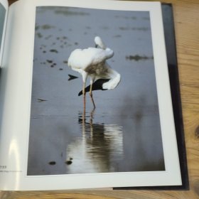 鹤缘：叶学龄摄影作品选:[中英文本]（作者签赠）