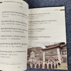 木雅民歌民谚：藏汉文/达瓦志玛编著
