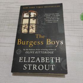ELIZABETH STROUT THE BURGESS BOYS