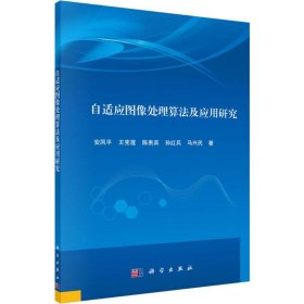 正版现货 自适应图像处理算法及应用研究 安凤平 等 科学出版社 9787030629715平装胶订