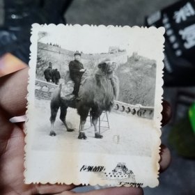 北京长城骑骆驼留影老照片