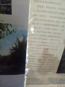 人民画报 1979 2【封面底和书脊边缘有点磨白破损，品一般】