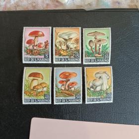 mjl02外国邮票 圣马力诺1967年 菌类 蘑菇 邮票6全新 原胶正品 带防伪水印