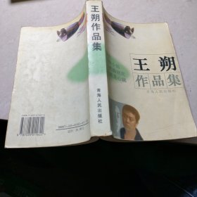 王朔作品集