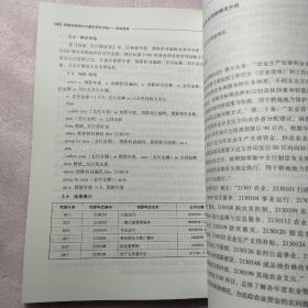 政策法规执行计算机审计方法（县域经济）