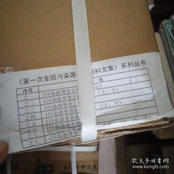 《第一次全国污染源普查资料文集》全12册整箱，书全新》系列丛书【4---5层】