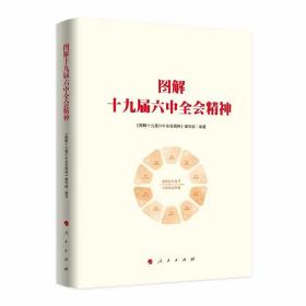 图解十九届六中全会精神