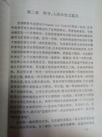 人论 二十世纪西方哲学译丛 私藏品好自然旧品如图(本店不使用小快递 只用中通快递)