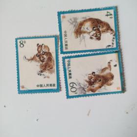 T40东北虎邮票样品3枚(成交赠纪念张一枚)