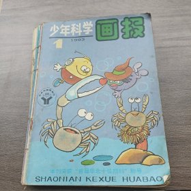 少年科学画报（1993年全12本）