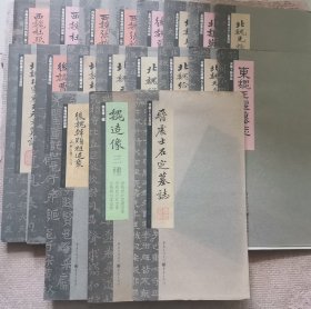 张祖翼经典藏拓系列：魏碑（一）2，3，4，5，6，7，8，9，10，11，12，13，14，15，16，18，19，20，21（共19册）西魏杜照贤，张始孙造象，北魏司马元兴，元华嫔，鞠彦云，光禄大夫于纂，元文，元飃，元彦，穆纂，给事君夫人王氏，元氏故兰夫人，曹望喜，王偃，后魏韩顯墓志，魏造像三种，晋王处士（实物如图，图货一致的）