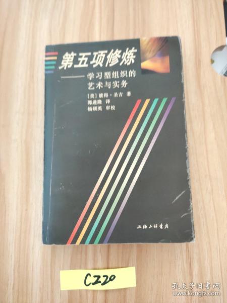 第五项修炼：学习型组织的艺术与实务