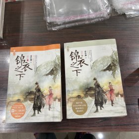 锦衣之下（上下）