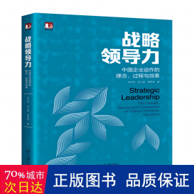 战略领导力：中国企业运作的理念、过程与效果